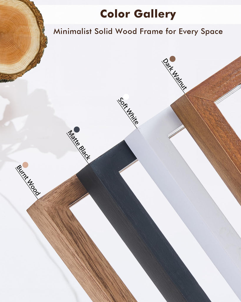 8x10 Floating Photo Picture Frame, Floating Display 6x8, 5x7, or Full Display 8x10 Photos, Solid Wood, Double Glass, 2