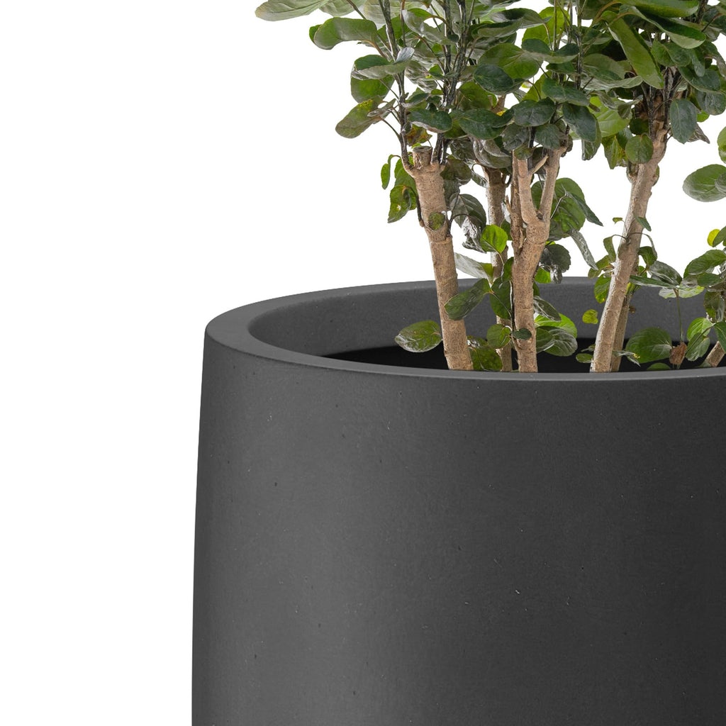 Black Concrete Planter 21.7" Tall All-Weather Round Large Pot