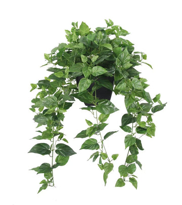 Realistic Artificial Potted Pothos Ivy Plant(Devil's Ivy), Scindapsus Aureus, Premium Fake Plant Decor, 30" H x 22.8"