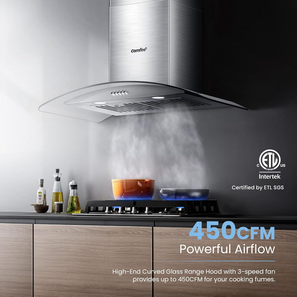 30 Inch Stainless Steel Wall Mount Range Hood 450 CFM 3 Speed LED Lights, Baffle Filters, Convertible Ducted/Ductless Glass Canopy