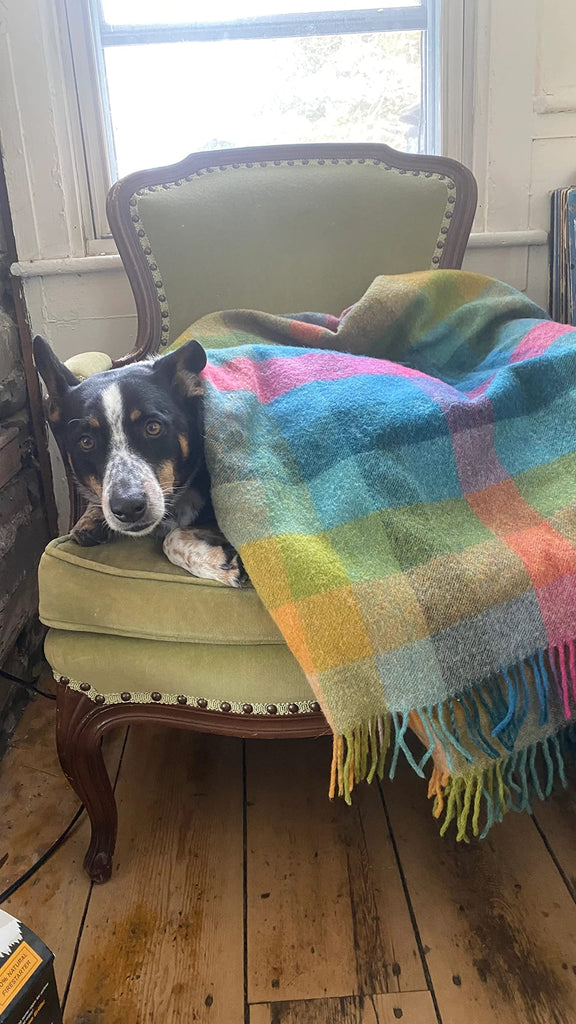 Wool Plaid Throw Blanket, Pure New Wool, Harlequin Tutti Fruitti, Made in UK...