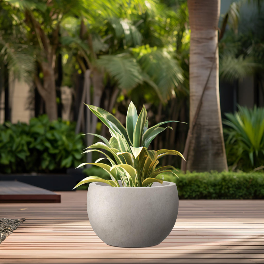 7.9" Tall Round Bowl Concrete Planter, Weathered Finish