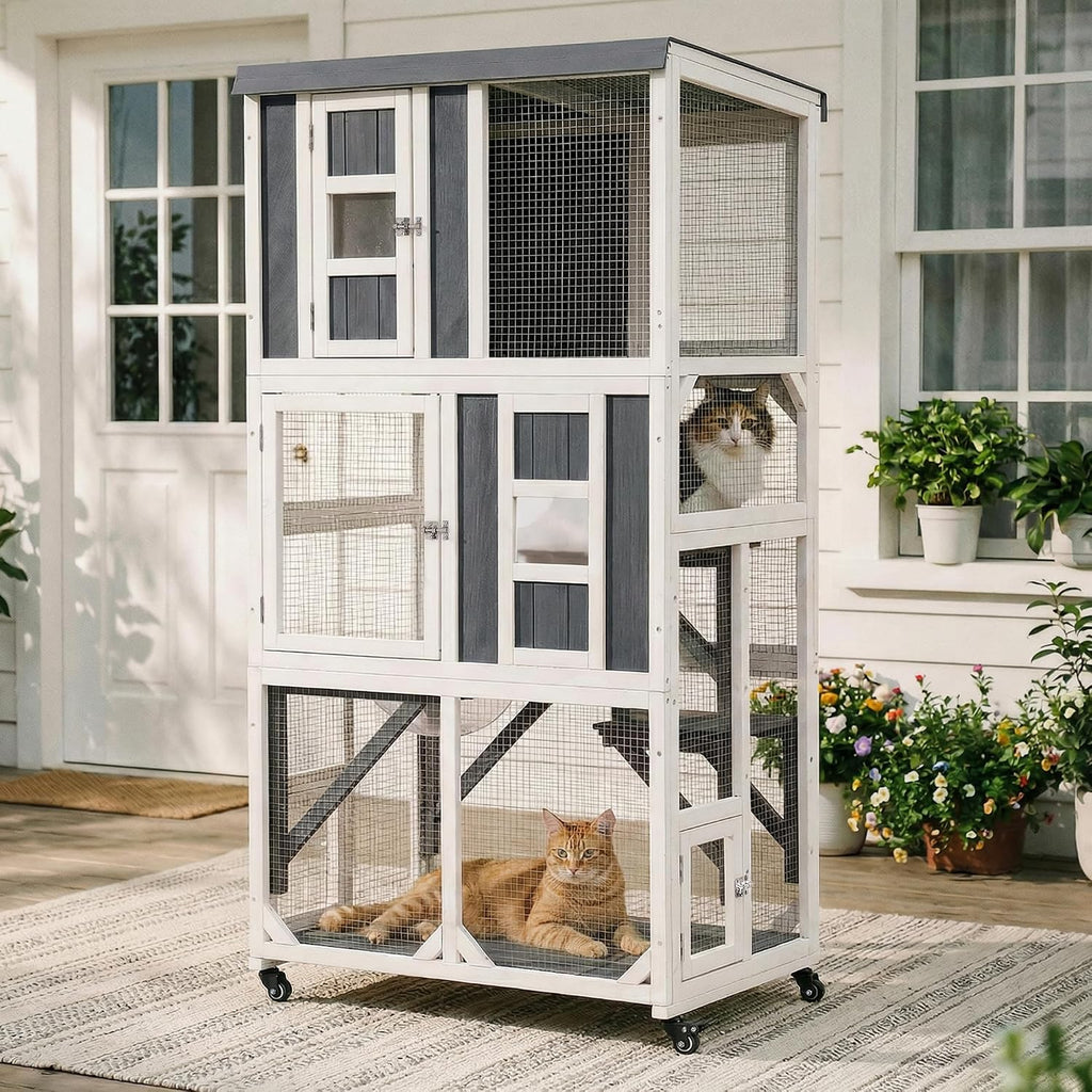 63.5" H Outdoor Cat Enclosure, Wooden Window Catio with Wheels