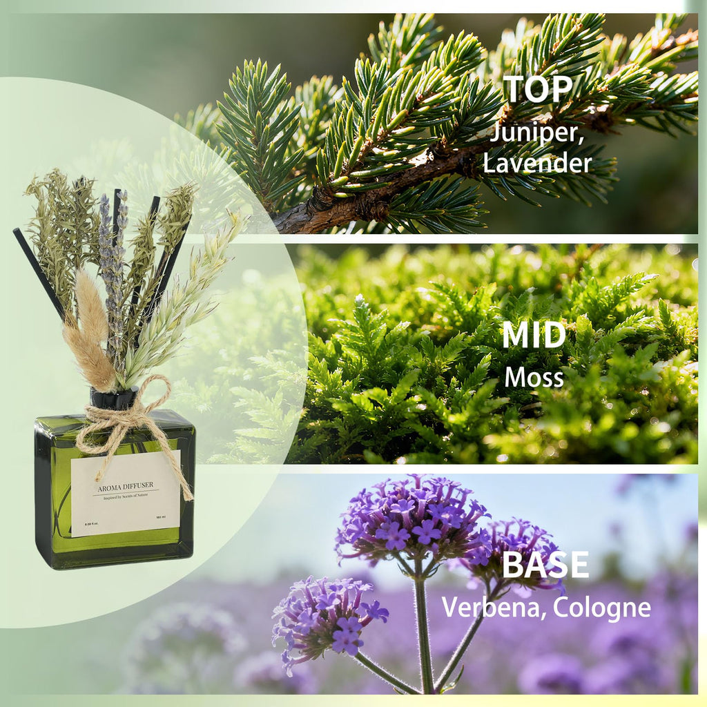 Reed Diffuser, 6.09 oz French Juniper Lavender Scent Diffuser with Sticks & Dried Flowers, 120 Days Long Lasting