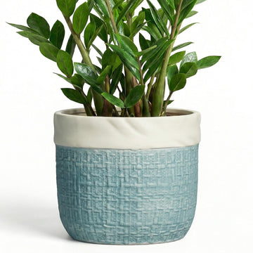 9.8 Inch Plant Pot - Ceramic Pots for Plants with Drainage Hole, Boho Plant Pots for Indoor Outdoor Plants
