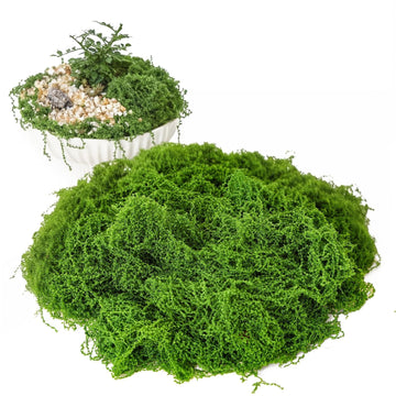 28.2oz Fake Moss for Crafts, Green Artificial Moss for Plant Indoor Outdoor