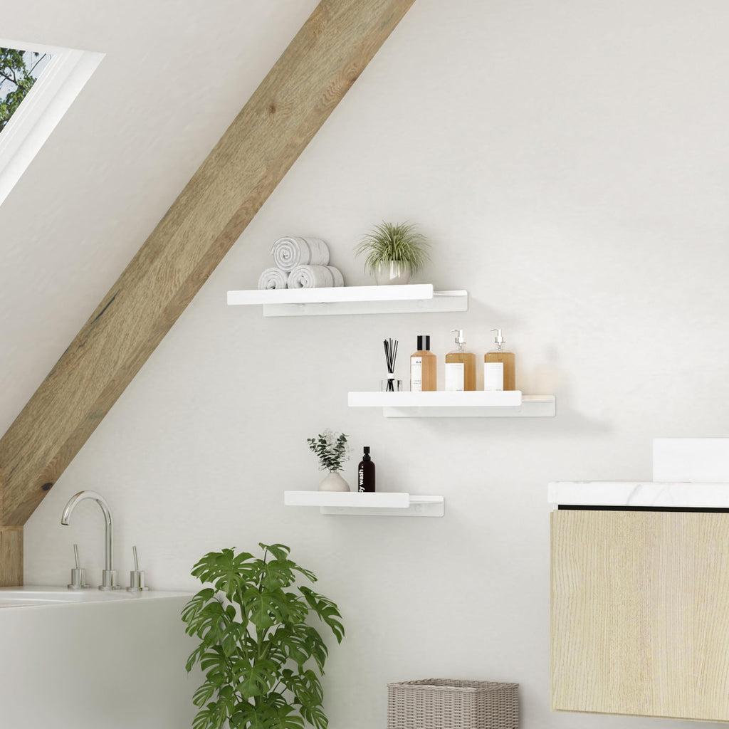 Floating Shelves for Wall, Wall Mounted Shelves with Lip for Storage, Metal Display Shelves Decor, Kitchen/Living