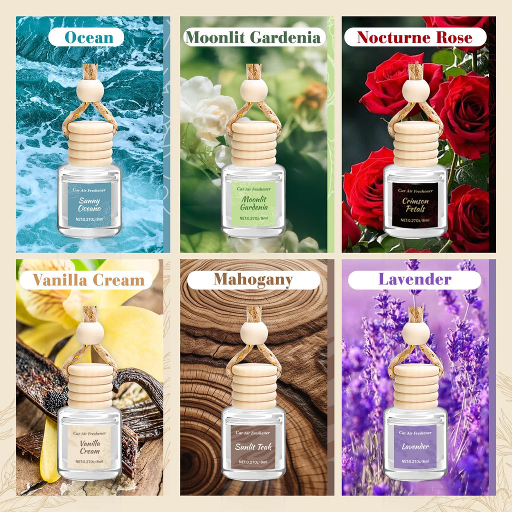 6 Pack Car Air Freshener, Hanging Essential Oil Air Freshener