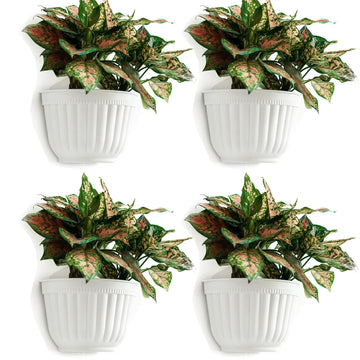 4 Pack White Wall Planter Pots Vertical Living Wall Hanging Planters Wall Mounted Planter Holder with Drainage Hole