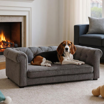 Elevated Dog Sofa with Backrest and Armrests, Button Tufted Dog Couch Bed with Soft Cushion for Medium Dogs, Stylish