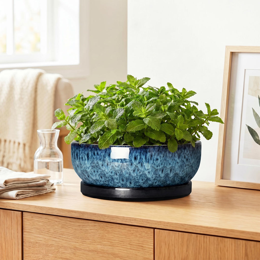 Bonsai Pots, 10 Inch Ceramic Succulent Pots with Saucer, Blue