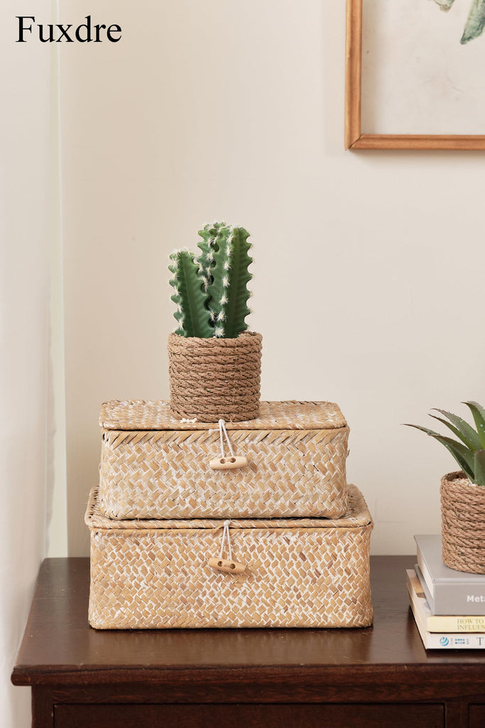 3-Pack Artificial Succulent Plants in Vintage Plastic Pots - Fake Waterproof Succulents Decor, Desk, Shelf - Low