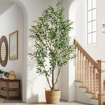 6ft Faux Olive Tree with White Pot & Moss, Artificial Olive Tree Indoor Outdoor, PE/PVC Leaves, Realistic Resin Trunk