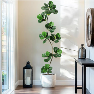 7ft Artificial Fiddle Leaf Fig Tree with Black Nursery Planter