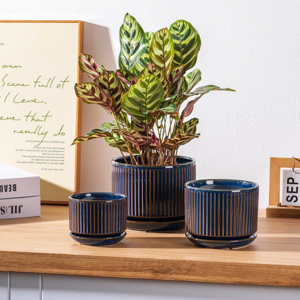 Ceramic Plant Pots Set of 3, 4.3+5.5+6.8 Inch Indoor Outdoor Planters with Drainage Hole and Saucer, Ceramic Flower