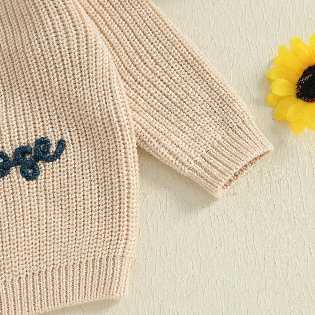 Toddler Baby Boy Girl Knit Sweater Silly Goose Embroidery Long Sleeve Knitted Sweatshirt Warm Fall Winter Clothes
