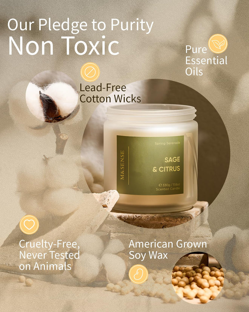 Sage Candles, 11.6oz Natural Soy Wax, 70 Hours Long Lasting