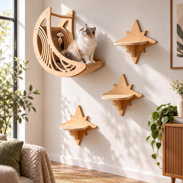 Cat Wall Shelves, Wooden Cat Wall Furniture with Moon Bed & 3 Star Steps, Cat Climbing Wall System, Floating Cat