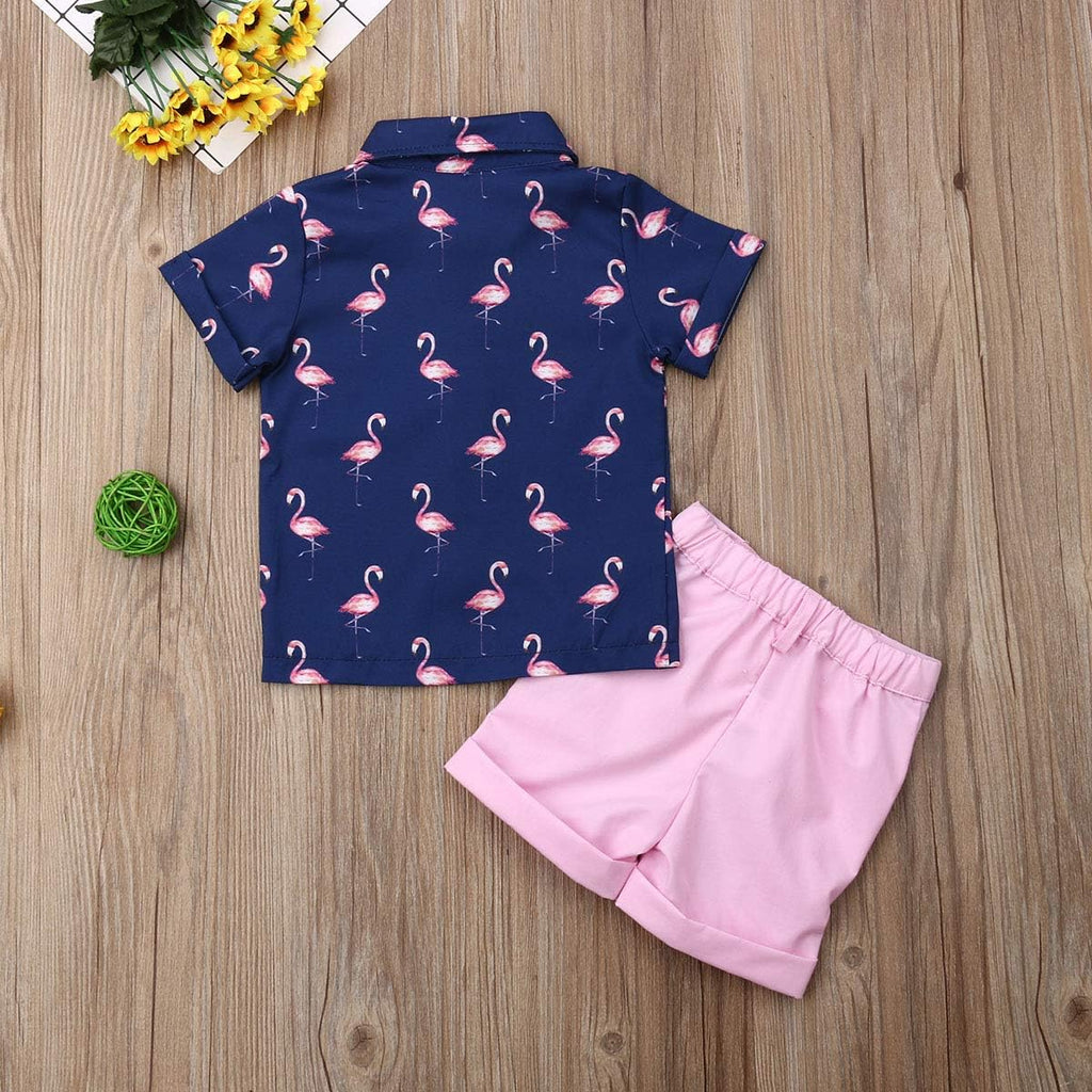 Toddler Baby Boy Flamingo Short Sleeve Button Down Shirt & Casual Shorts Set Summer Outfits Clothes