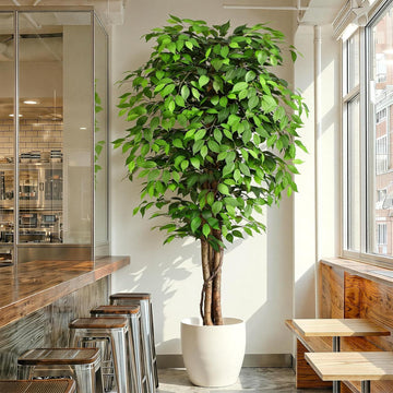 7ft Large Ficus Artificial Trees with Natural Curved Trunks, 84" Tall Lush Faux Tree Decor Indoor, Green Lifelike