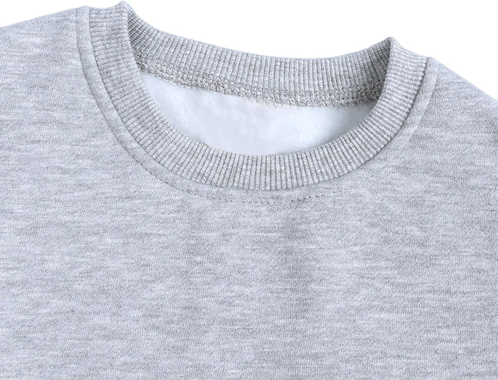 Toddler Sweatshirt Baby Boys Girls Crew Neck Long Sleeve Fall Shirts