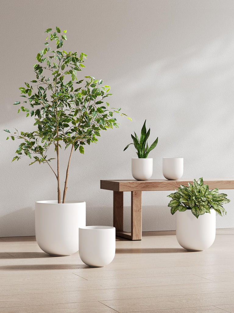 8 Inch Ceramic Plant Pot, Indoor Planter, White