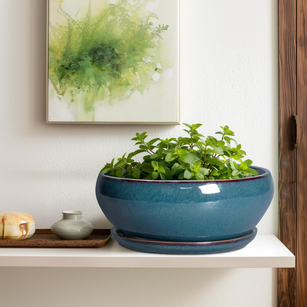 Bonsai Tree Pots - 12 Inch Ceramic Succulent Pots, Large Shallow Planter with Drainage Hole and Saucer, Bowl Round