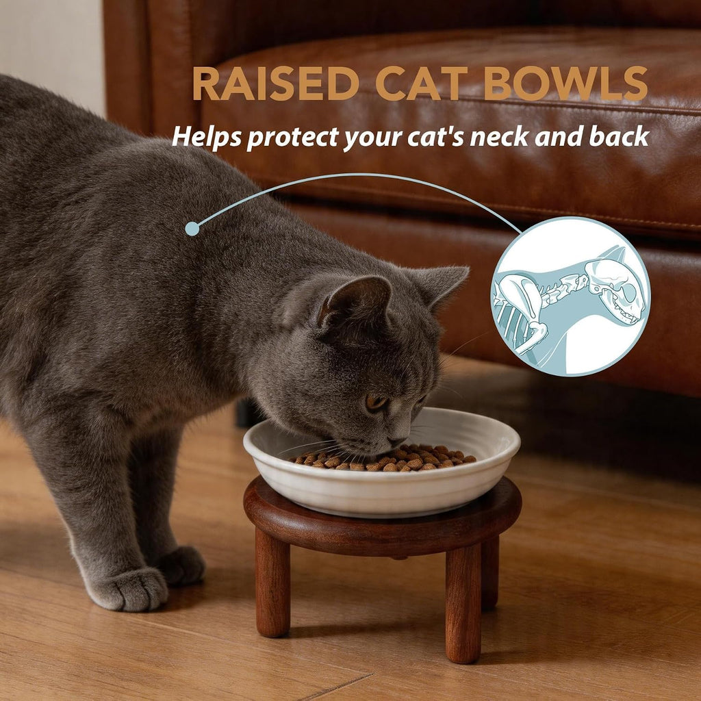 Elevated Cat Bowls, Ceramic Cat Bowl with Wood Stand, Wide Opening