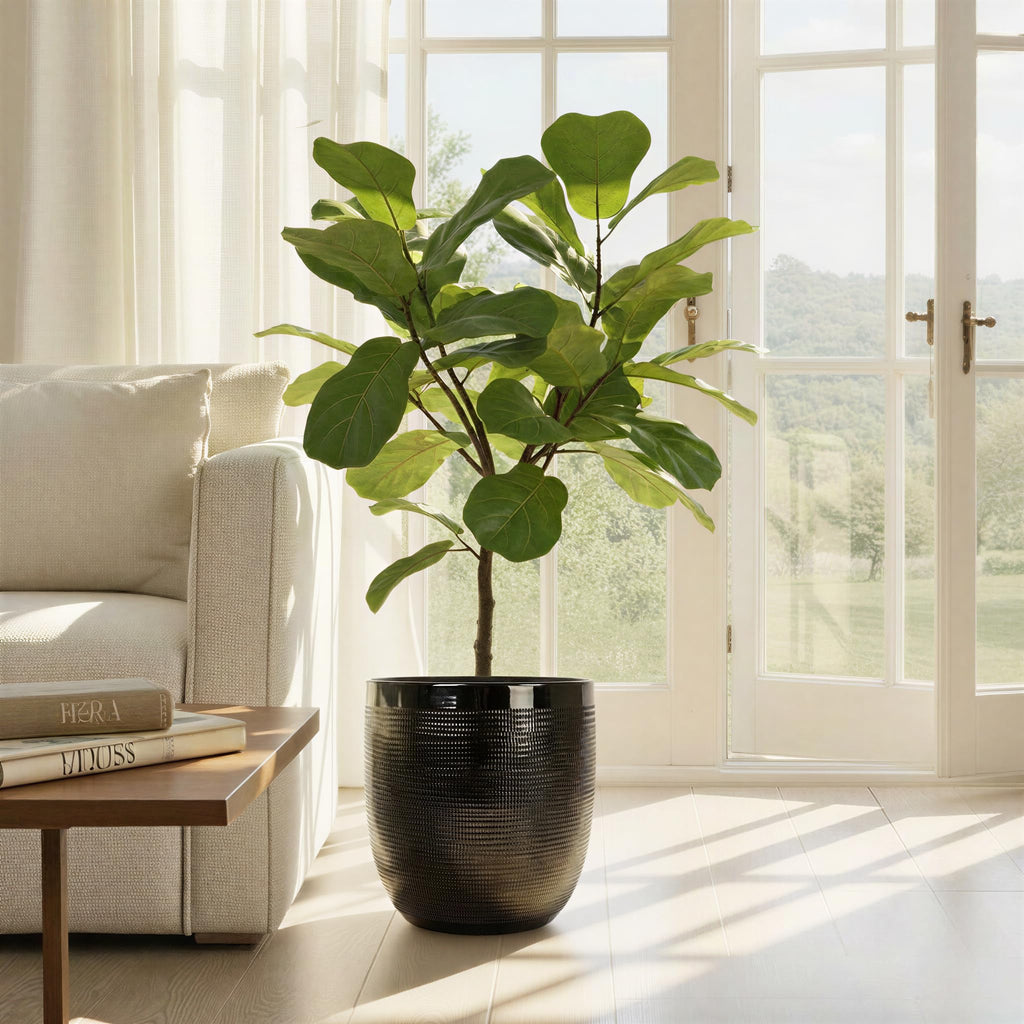 Embossed Textured Stoneware Planter, Matte Black