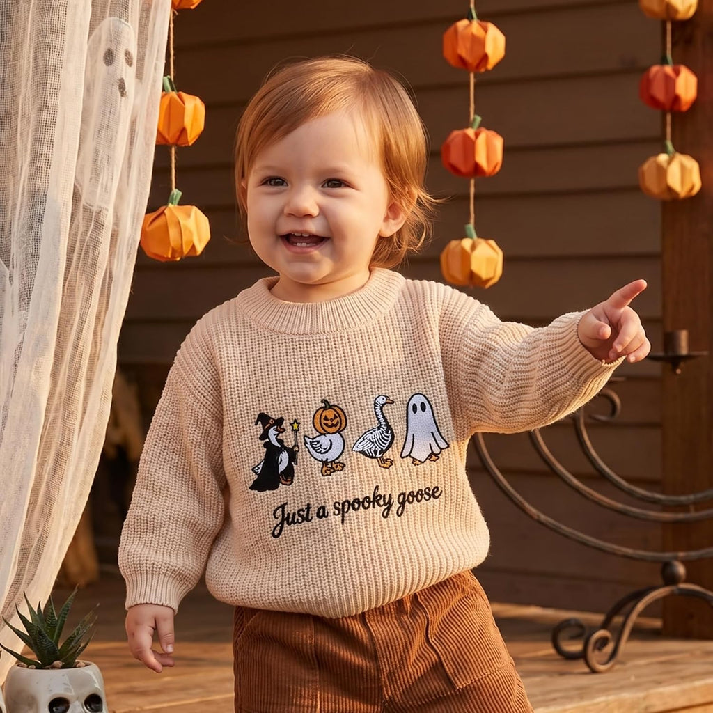 Toddler Baby Boy Girl Goose Sweater Long Sleeve Just A Goose Fall Knitwear