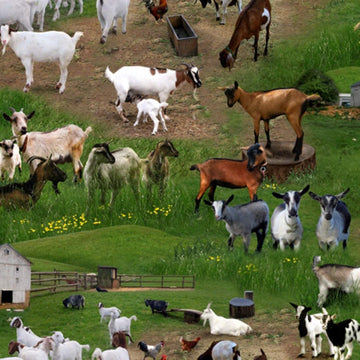 Goat Farm Animals Goat in Multi from Elizabeth's Studios Quality Cotton CX