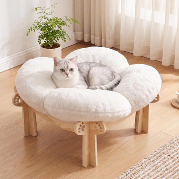 Cat Beds for Indoor Cats, Elevated Wooden Cat Bed Soft Removable Cushion
