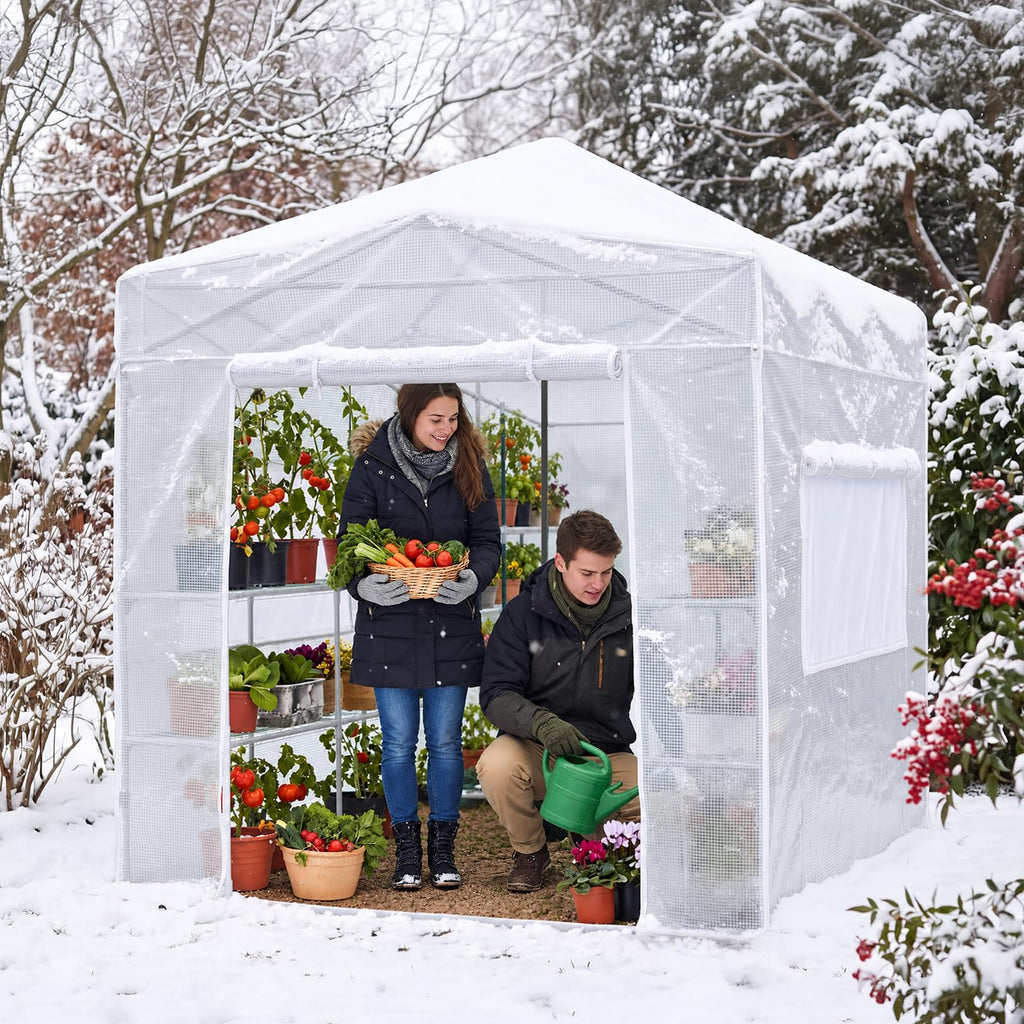 Walk-in 8x6 Pop Up Portable Greenhouse, White