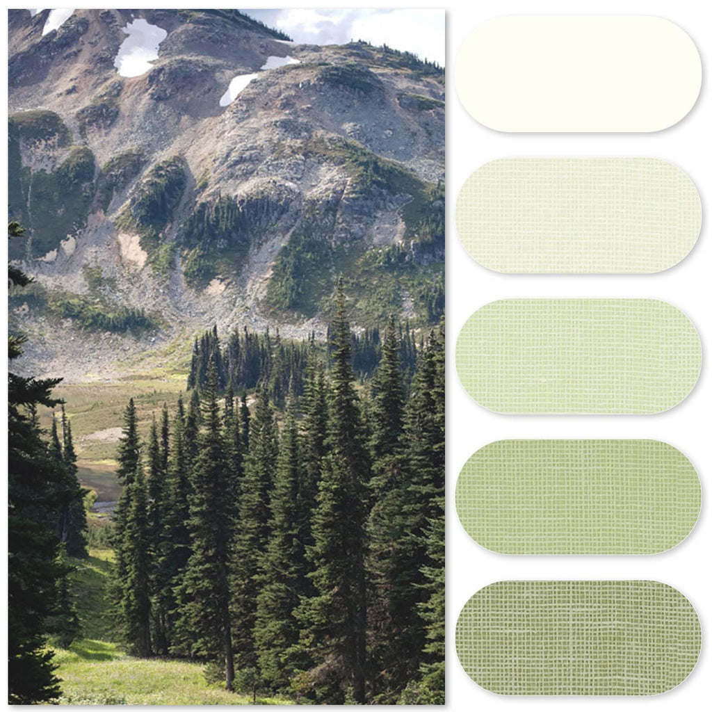 Small Stall Shower Curtain 48x72 Inch 8 Hooks Green | Ombre Forest Green Shower Curtain, Stripe, Bathroom Decor