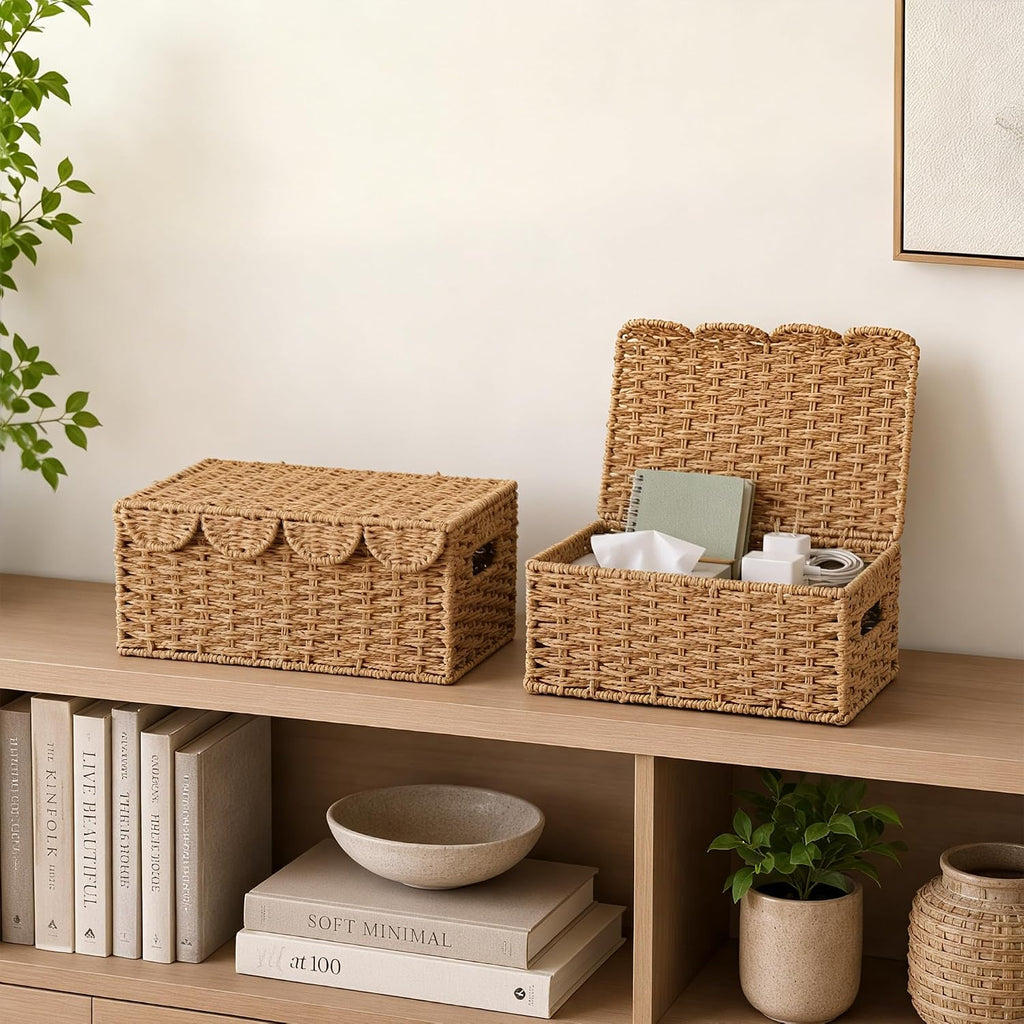 Set of 2 Scalloped Wicker Baskets with Lid,Paper Rope Decorative Storage Baskets for Shelves, Display Shelf, Handmade