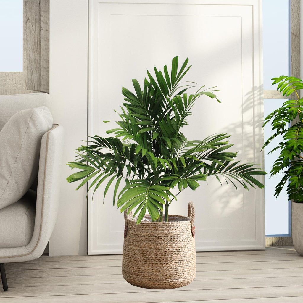 Woven Plant Basket Decorative Storage Basket Large Capacity Flower Pots Plant Container for Lawn Yard Balcony Home