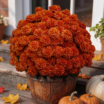 Artificial Fall Mums, Fake Outdoor Flowers Faux Autumn Orange Daisy Plants