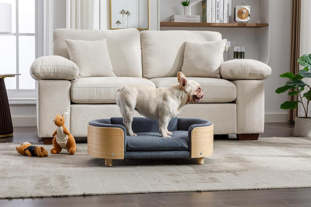 Scandinavian Style Elevated Dog Bed Pet Sofa with Solid Wood Legs and Bent Wood Back, Velvet Cushion, Mid Size, Dark