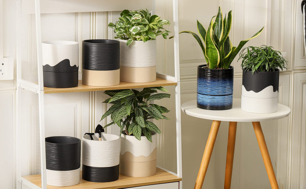 Ceramic Self Watering Plant Pot for Indoor Plants, 6 Inch, White