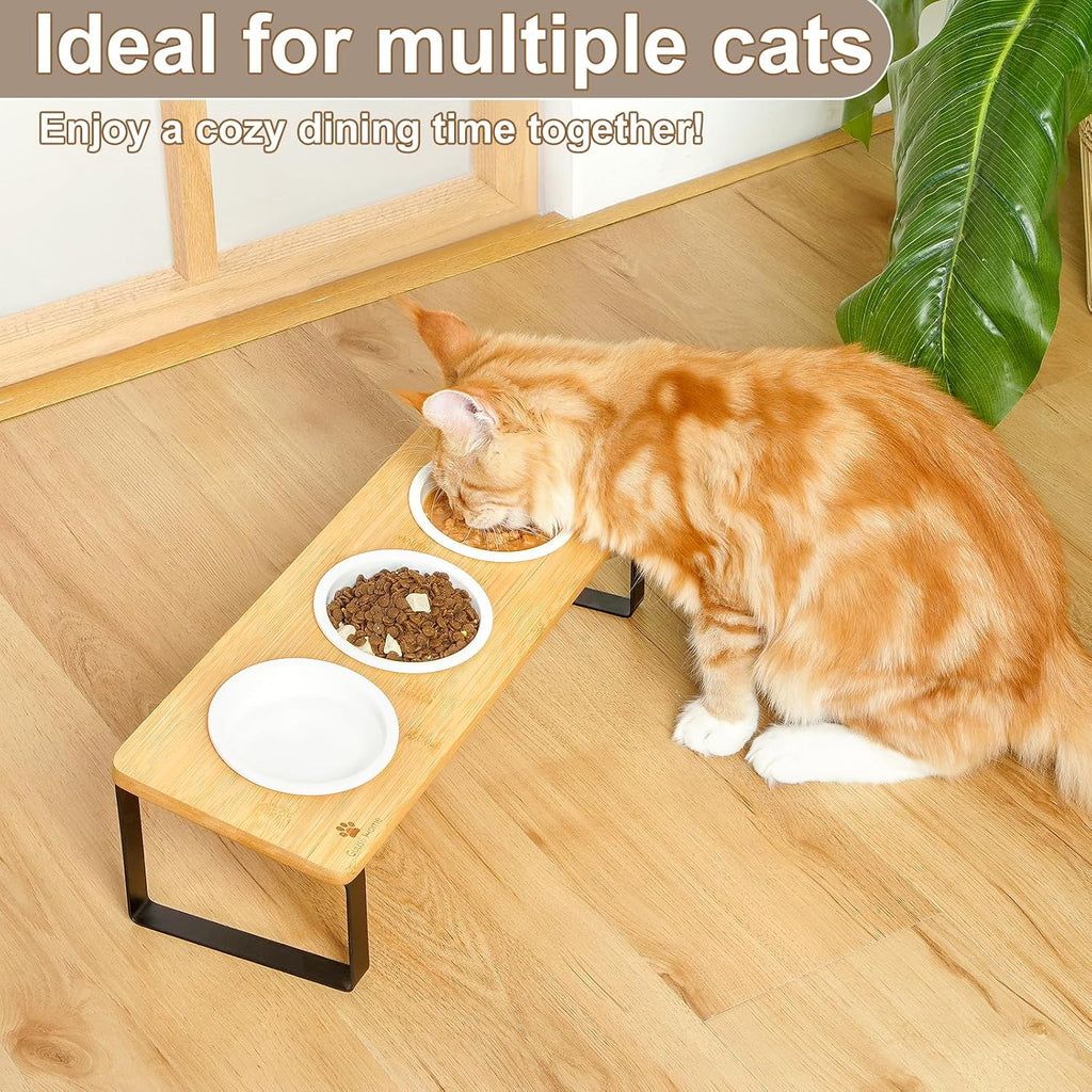 Raised Cat Food Water Bowl Elevated Tilted Kitty Dishes Set of 3 Ceramic Dish for Indoor Cats Orthopedic Pet Food