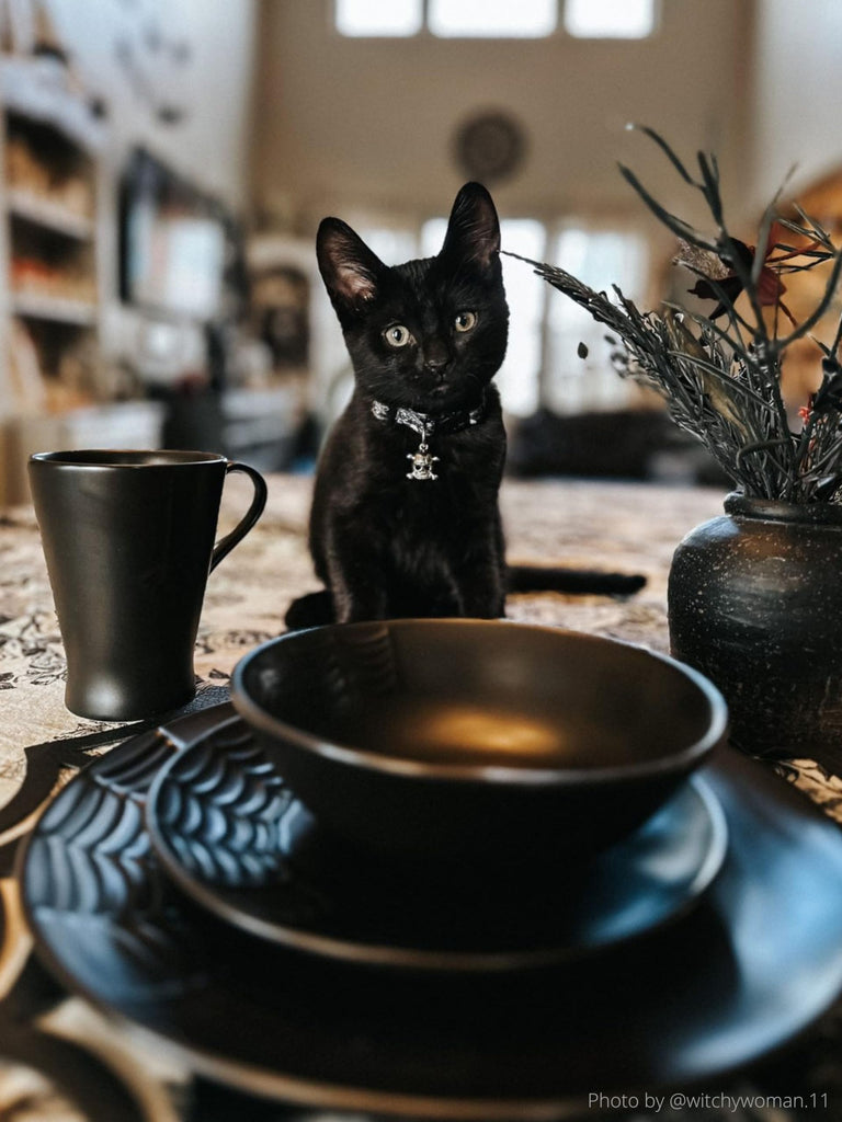 Spiderweb Dinnerware Set, 16 Piece Spooky Dishes, Gothic Matte Black