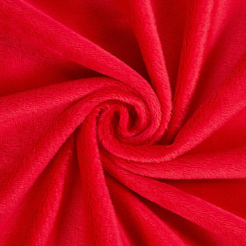 Smooth Minky Plush Soft Thick Dense Heavyweight Fleece Flannel Microfiber 60 Inch Fabric By The Yard - for Sewing