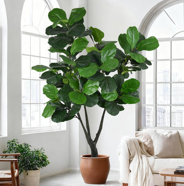 Artificial Fiddle Leaf Fig Tree 7FT with Thick 110 Leaves Lifelike