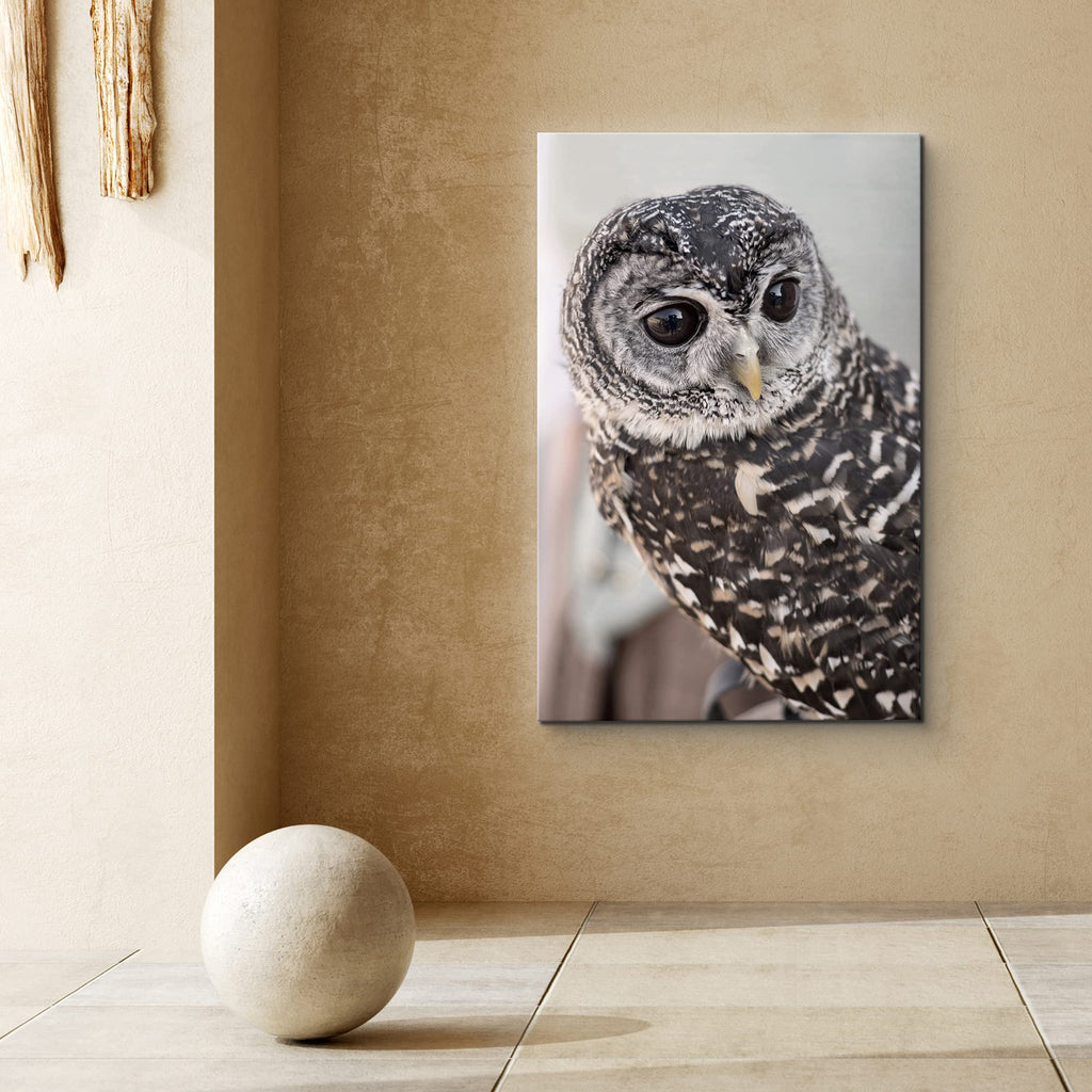 Canvas Print Wall Art Gray Owl with Bokeh Camera Effect Animals Wildlife Photography Realism Rustic Portrait