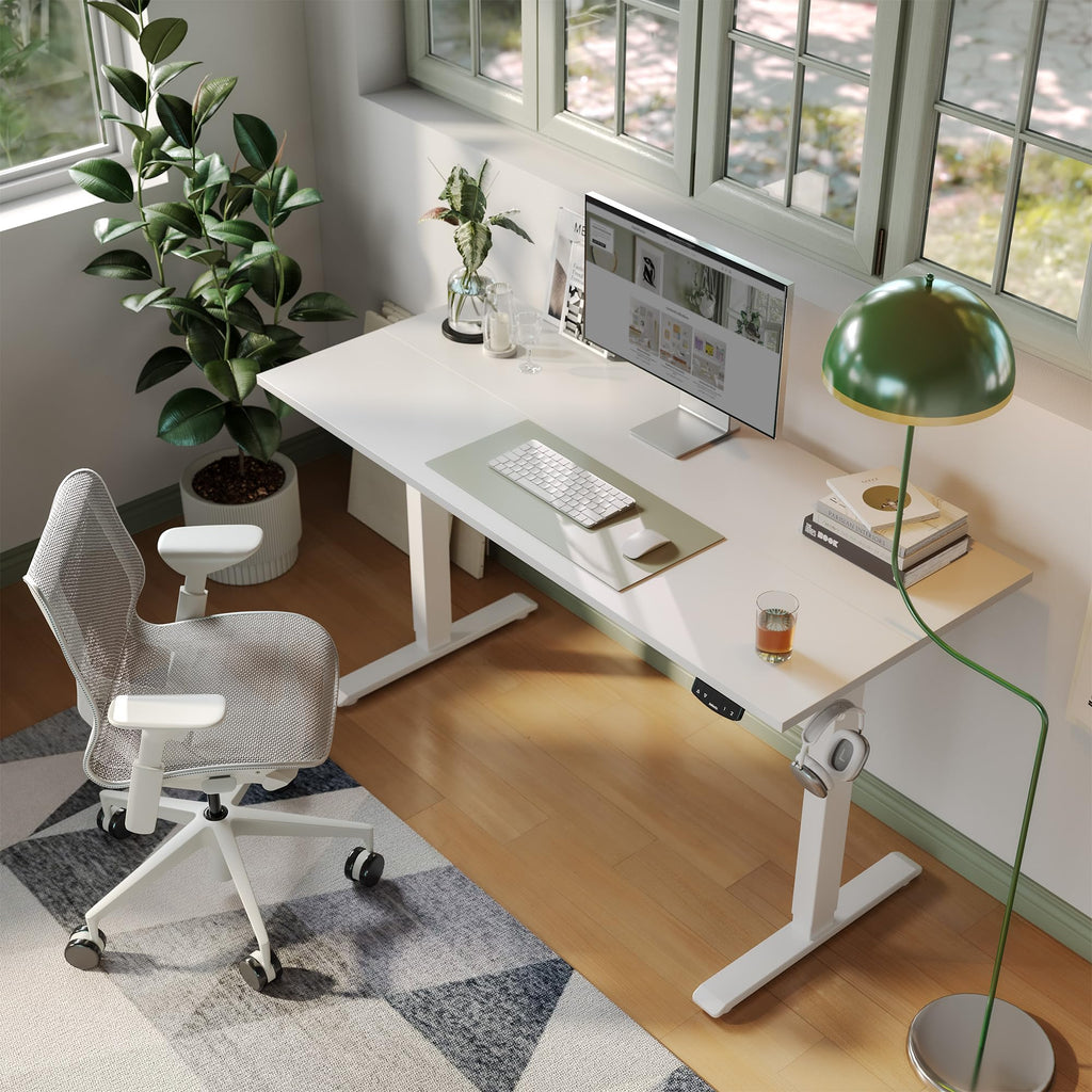 48 * 24 Inch Height Adjustable Electric Standing Desk, White