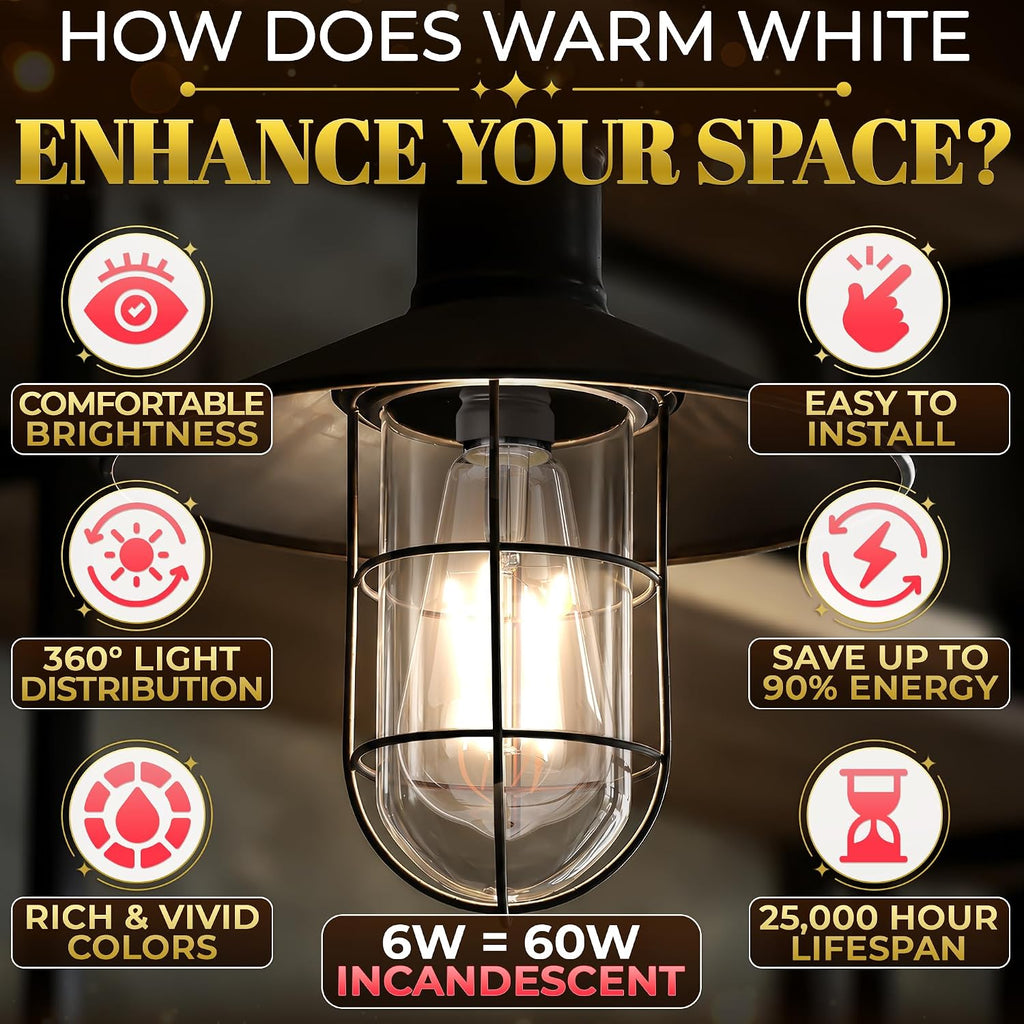 12 Pack Edison Bulbs 60 Watt Equivalent, E26 LED ST58 ST19
