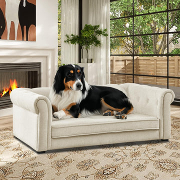 Dog Couch for Large Dogs, Elevated Durable Pet Sofa Bed, Comfortable Modern and Stylish Dog Sofa Couch with Dry
