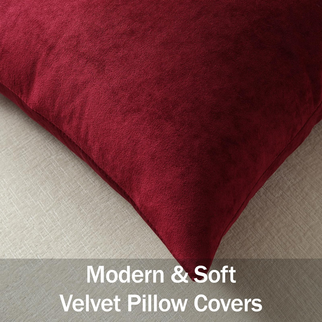 Euro Sham Covers 24x24 Wine Red: Pack of 2 Cozy Soft Velvet Square Modern Luxury Decorative Throw Pillow Cases for