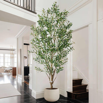 8ft Faux Olive Tree with White Pot & Moss, Artificial Olive Tree Indoor Outdoor, PE/PVC Leaves, Realistic Resin Trunk