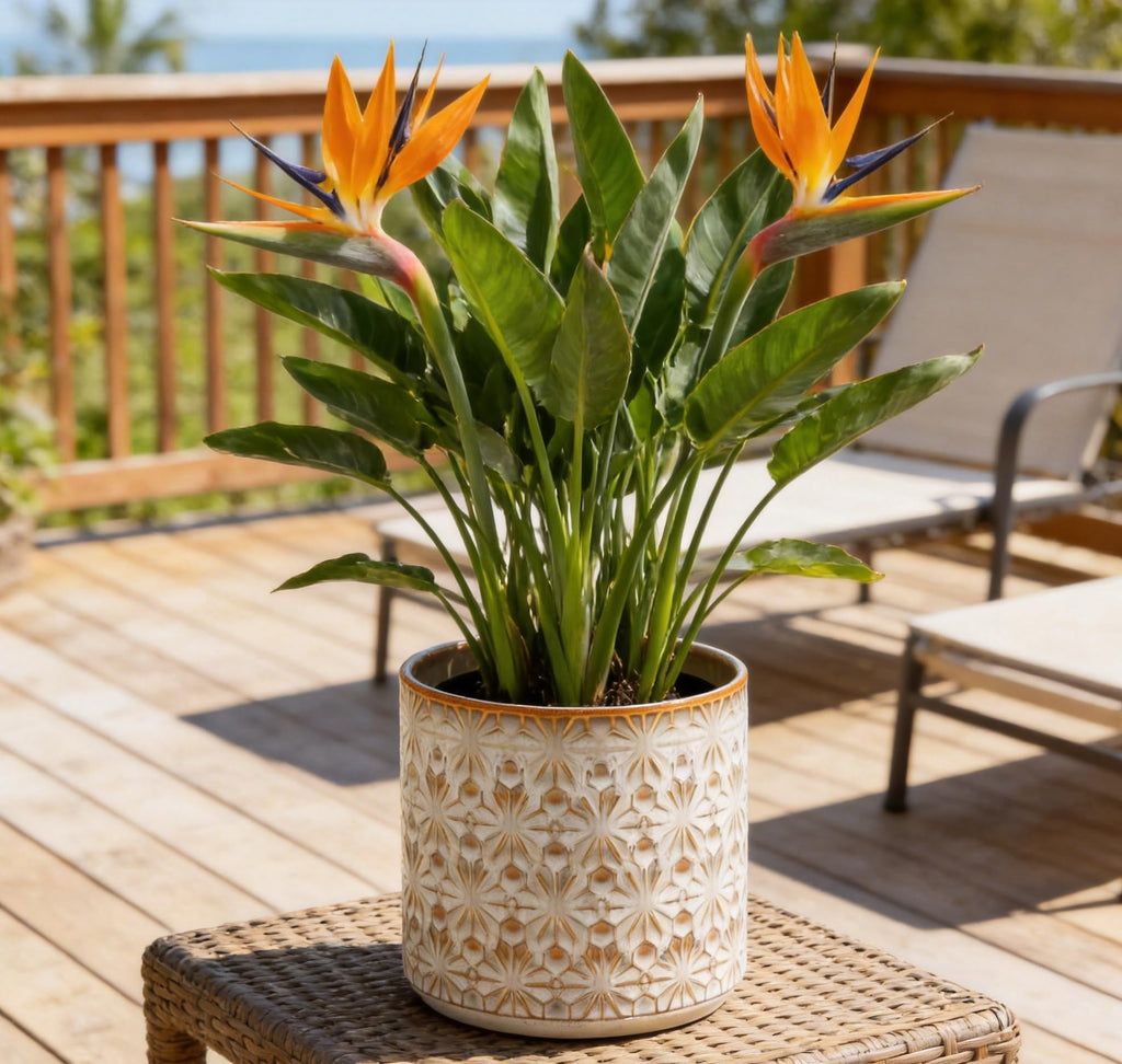 Ceramic Planter Ceramic Plant Pot, 5.3 Inch Small Planter with Unique Glaze, Home Decor Indoor Outdoor Flower Pot for